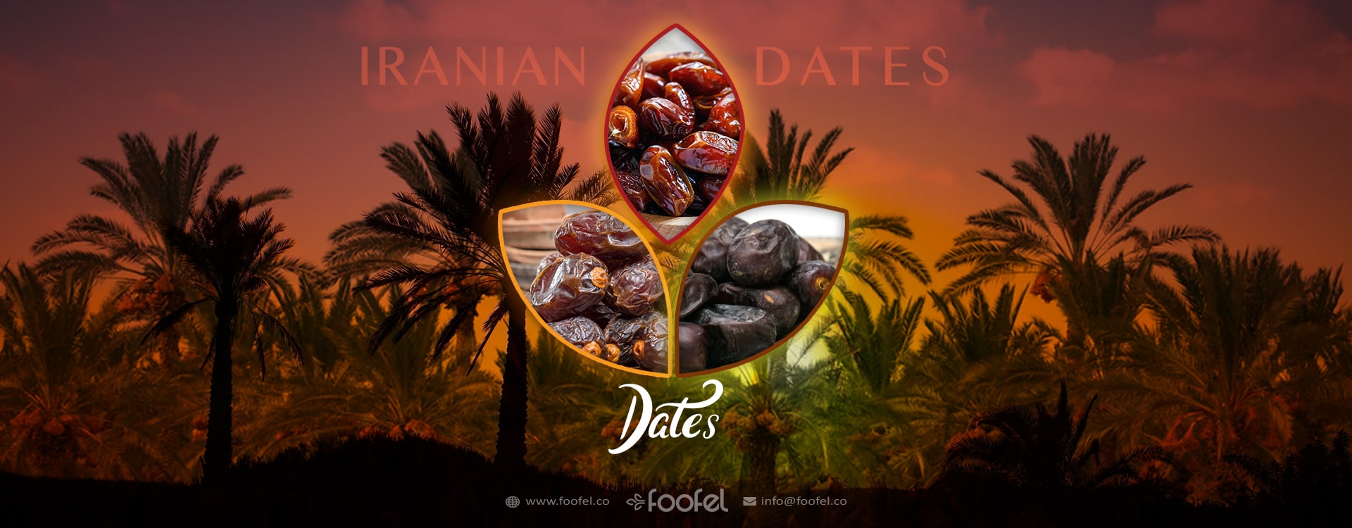 iranian dates،foofel