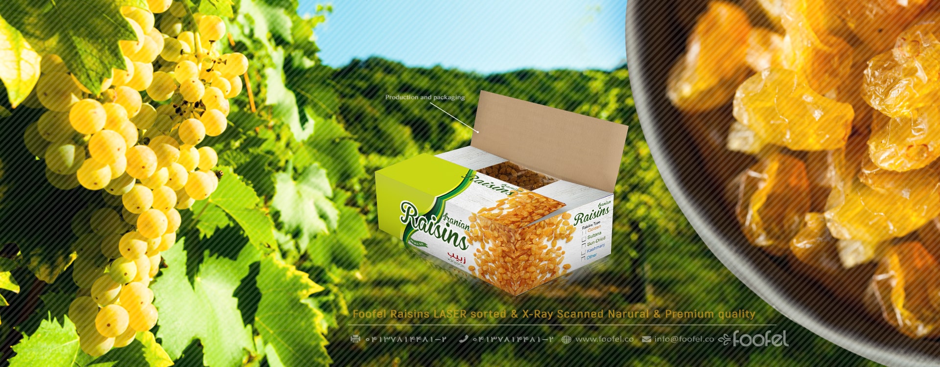 iranian raisins،foofel