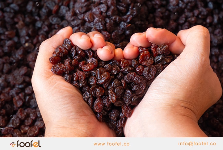 iranian raisins